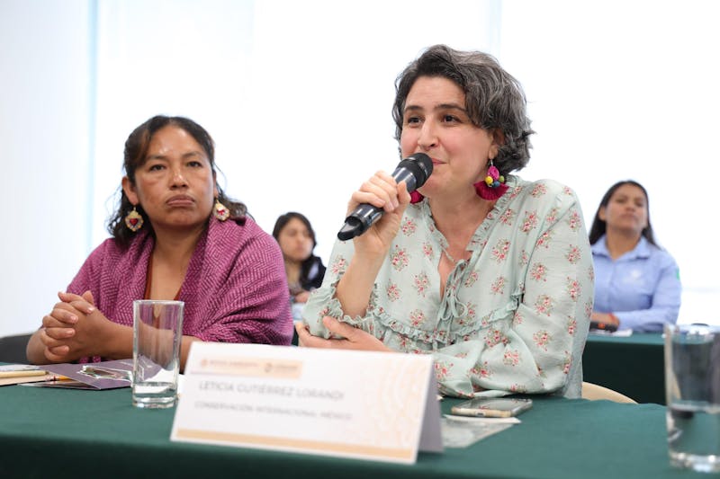 Leticia-Gutierrez-Lorandi Leticia Gutiérrez Lorandi