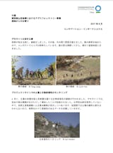 https://cicloud.imgix.net/images/default-source/publication-covers/2017-08-letter-from-china.png?sfvrsn=bdca974f_0&&auto=compress&auto=format&fit=crop