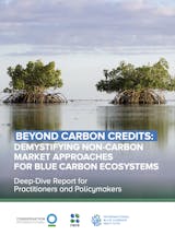 https://cicloud.imgix.net/images/default-source/publication-covers/ci-rare-ncma-deep-dive-final.png?sfvrsn=bcdf7701_0&&auto=compress&auto=format&fit=crop