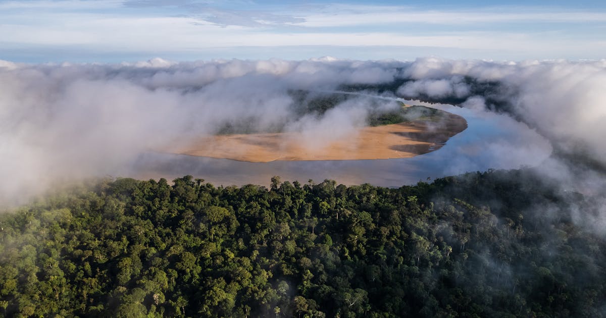 New protected area a win for Amazonian wildlife, people New protected area a win for Amazonian wildlife, people