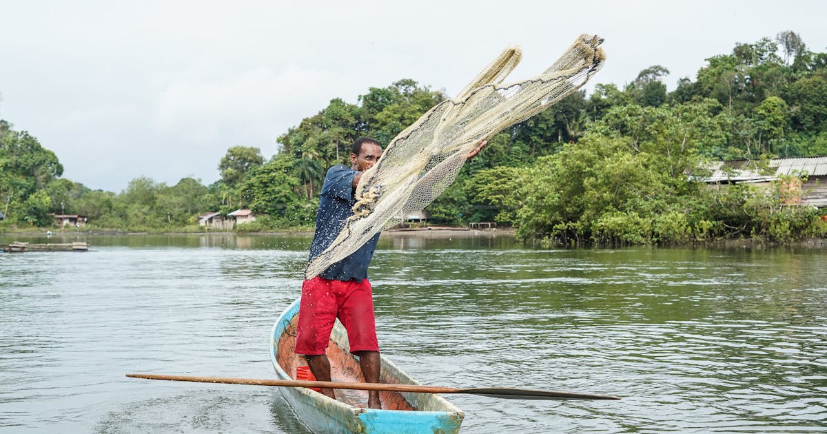 An uprooted people, a legacy of conservation