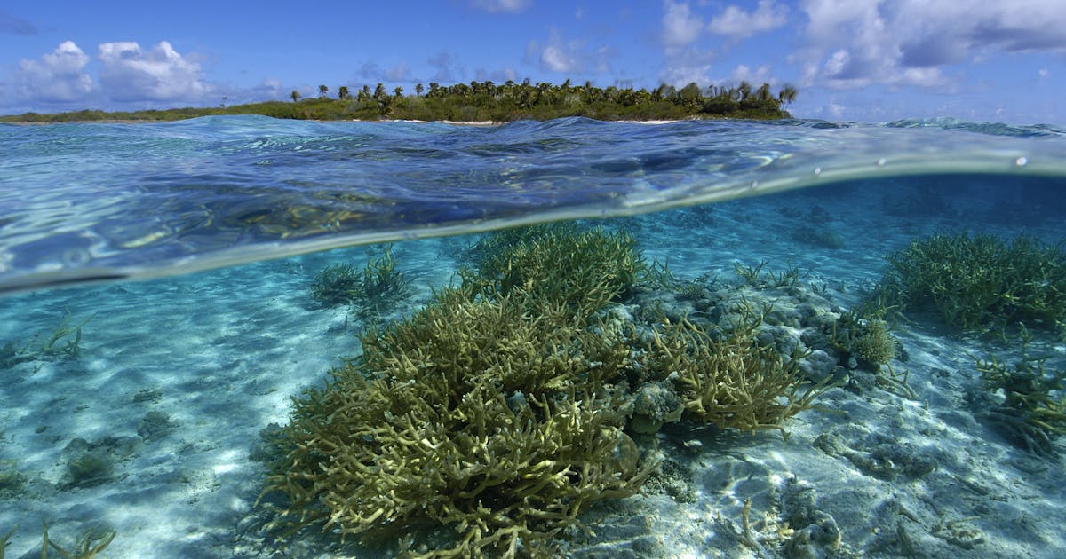 News spotlight: Can atolls survive sea-level rise?